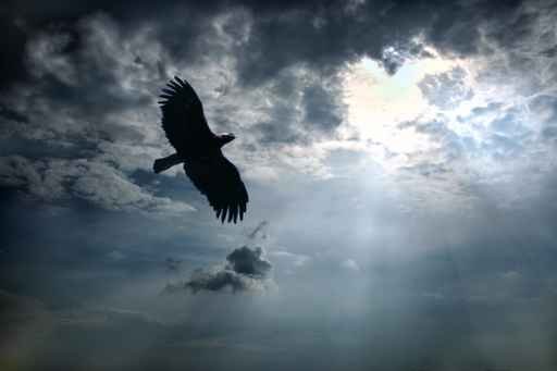 bankruptcy attorney,bankruptcy attorneys,los angeles bankruptcy attorney,debts